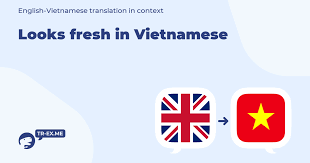 What Is The Meaning Of The Phrase 'Looking Fresh'? - Quora