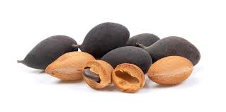 Image result for Dialium