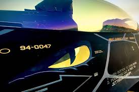 We produce for prepar3d, fsx, dcs world, bms. Usaf F 16 Viper Demo Team Unveils Amazing Venom Paint Scheme Blog Before Flight Aerospace And Defense News