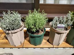 スリット 鉢 カバー