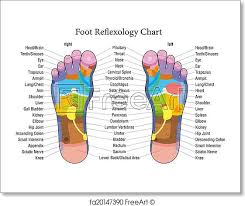 Free Art Print Of Foot Reflexology Chart Description