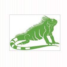 Iguana Decal Dragon Silhouette Iguana African Bullfrog