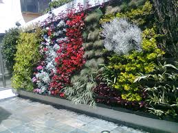 Pin De Erasmo Marcos En Jardineria Y Paisajismo Jardines Verticales Jardines Jardineria