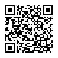 Image result for Rhaphiostylis beninensis