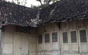 Aneka jenis tanaman organik ditanam di pot dan polybag hingga pipa paralon yang didesain untuk tanaman hidroponik. Viral Rumah Tua Di Tengah Kebun Jati Gunungkidul Ini Faktanya