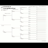 Genealogy Charts