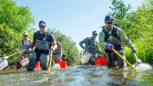 Fish Wildlife And Conservation Biology Online Master S In Wildlife Biology
