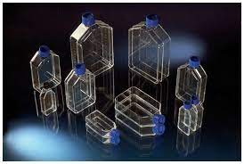 Maybe you would like to learn more about one of these? Nunc Cell Culture Treated Flasks With Filter Caps