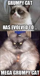 Grumpycat Meme For More Grumpy Cat Stuff Gifts And Meme Visit Www Pinterest Com Erikakaisersot Grumpy Cat Quotes Funny Grumpy Cat Memes Grumpy Cat