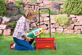 Rasen Kalken Selbst De Moos Im Rasen Rasen Vertikutieren