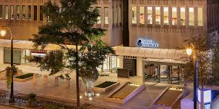 Best value #1 springhill suites by marriott atlanta buckhead $83 per night. Pet Friendly Hotels Downtown Atlanta Ga Hotel Indigo Atlanta Downtown