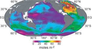 sabine et al. the oceanic sink for
