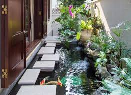 Aneka Manfaat Membuat Kolam Ikan Koi Di Rumah Anda Solusiruma Com