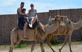 How much will it cost? Camel Rides Camel Park Sunny Beach