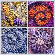 Freeform crochet patterns use some of the beautiful techniques that are common in the craft to create a fun design with eclectic techniques. Ravelry Designs By Prudence Mapstone