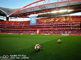 Estadio Da Luz Sl Benfica Slbenfica Twitter Soccer Stadium Soccer Field Stadium