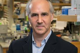 Neural Development, Degeneration, and Repair