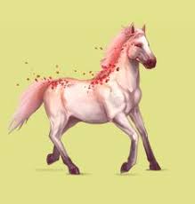 19 Best Howrse Images Horses Horse Drawings Horse Art