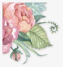 Pastel Flowers Png Images Transparent Pastel Flowers Image Download Pngitem Pastel flower transparent download hand drawn transparent.