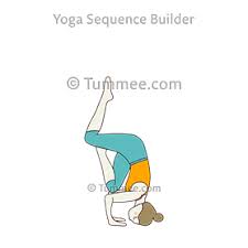 Headstands require smart, safe form. How To Do Catur Svanasana Sirsasana Eka Janu Kurpara Eka Pada Ardha Urdhva Tummee Com