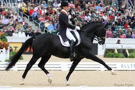 Edward gal of netherlands rides on moorland totilas during the dressage grand prix freestyle cdio. Dressage Legend Totilas Officially Retired From Competition Horse Illustrated Magazine