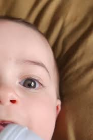 What will baby's eye color be?