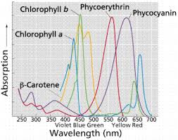 Check spelling or type a new query. The Nature Of Light