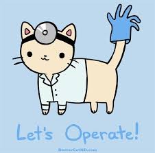 Let S Operate T Shirt Unisex Fitted Sizes Doctor Cat Veterinary Humor Pusheen Cute