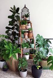 40 Smart Mini Indoor Garden Ideas Plants Plant Decor Indoor Plants