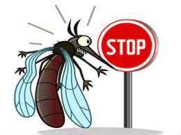 One study illustrating this was published in 2005 by a group of researchers at the university of connecticut health center. Foods That Can Help You Repel Mosquitoes Times Of India