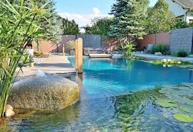 Grosser Biopool A Swimming Pool Is The Dream Of Many Garden Owners Because It Serves The Rela In 2020 Natural Swimming Pools Swimming Pond Natural Swimming Ponds
