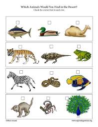 Which Animals Live In The Desert Critical Thinking Activity Critical Thinking Activities Animals Critical Thinking