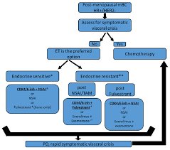 Age and estrogen levels affect risk, treatment, prognosis and even types of cancer. Current Endocrine Therapy In Case Of Post Menopausal Metastatic Luminal Download Scientific Diagram