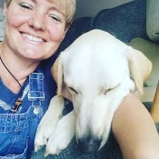 David Brostrom (@BrostromDavid)