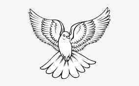It was then eventually put in as tattoo design. Black Outline Flying Dove Tattoo Design Dove Drawing Free Transparent Png Download Pngkey
