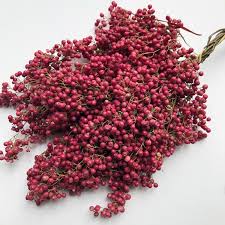 Image result for Schinus molle