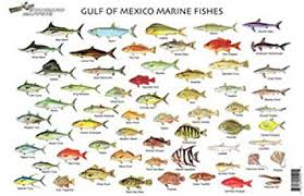 fish chart wiring diagram