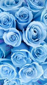 Pin By Ktee On Fondos De Pantallas Editados Blue Flower Wallpaper Blue Wallpaper Iphone Blue Roses Wallpaper
