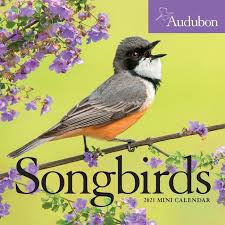 Here are the 2021 printable calendars Audubon Songbirds Mini Wall Calendar 2021 Taschenbuch National Audubon Society