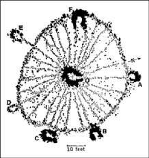 We did not find results for: Plan Of The Big Horn Medicine Wheel Big Horn Mountains Wyoming Usa Download Scientific Diagram