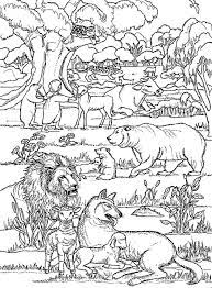 11 books and 46 pages: Creatures Great And Small Sea Prints To Color Recherche Google Fall Coloring Pages Free Coloring Pages Bible Coloring Pages