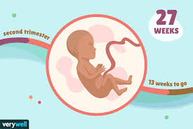 Find out how many days until a specified date. 27 Weeks Pregnant Baby Development Symptoms And More