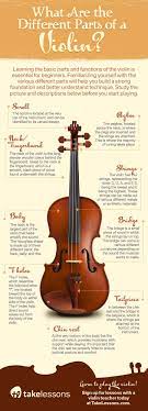 What Are The Different Parts Of A Violin Infographic Violin Violin Teaching Violin Beginner