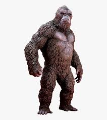 Skull island (10 mart 2017). Kong Skull Island Png Godzilla Vs Kong Size Transparent Png Transparent Png Image Pngitem