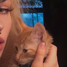 Sept Adli Kullanicinin G I R L S Panosundaki Pin