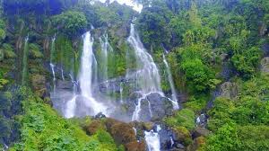 This sweet spot gives you the option of a different dining experience every time you visit. Kakochang Waterfalls Bokakhat Famous Tourist Attraction Picnic Spot Near Kaziranga