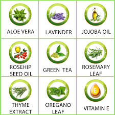 However, those who have not converted yet may be unclear. Buy Fifth Skin Better N Ur Skin Mineral Makeup Primer Natural Organic Vegan Cruelty Free Hydrate Minimize Pores Lines Lightweight Non Greasy All Skin Types