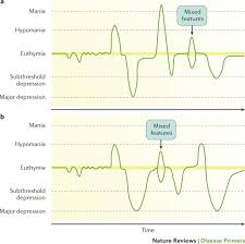 Image result for Bipolar Disorder