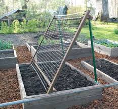Maybe you would like to learn more about one of these? 23 Functional Cucumber Trellis Ideas Guaranteed To Boost Your Harvest