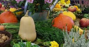 Gerstheim. Les fruits et légumes d'automne s'exposent